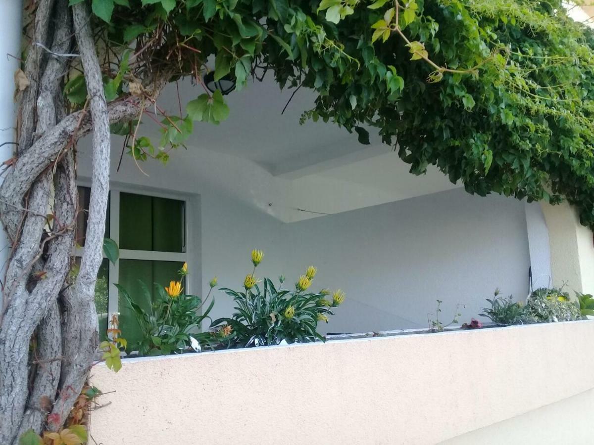 Montenegrina Apartment Budva Eksteriør billede